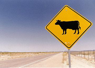 国产武侠代号《锦衣卫》16分钟实机演示